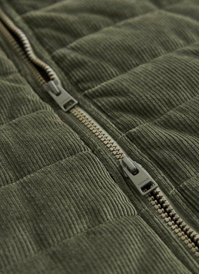 Quiltad Väst | Ted Cord - Collection of Brands