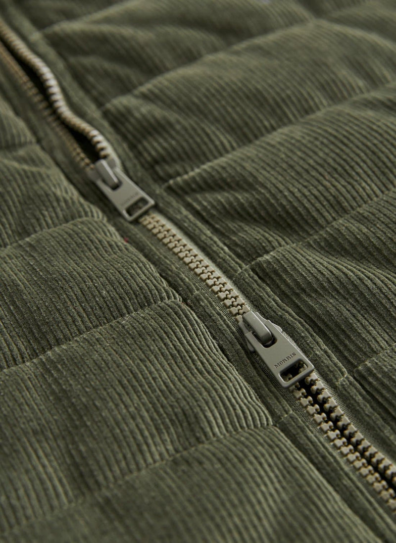 Quiltad Väst | Ted Cord - Collection of Brands